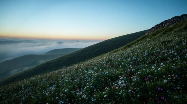 10 astuces pour diminuer votre empreinte écologique avec photo écologie